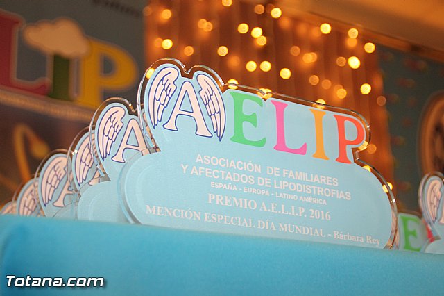 Premios AELIP 2016 - 48