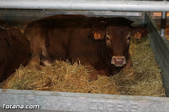 Sepor 2015 - Feria ganadera, industrial y agroalimentaria - 120