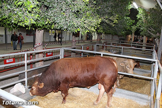 Sepor 2015 - Feria ganadera, industrial y agroalimentaria - 121