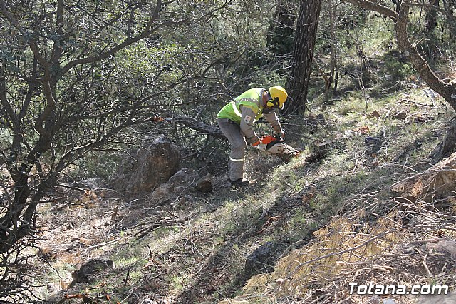 Prevencin de incendios forestales en Sierra Espua - 62