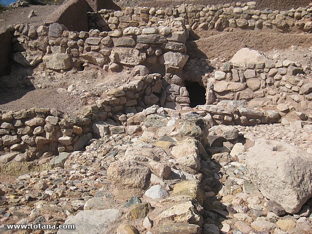 Visita amas de casa. Yacimiento Argrico de La bastida - 90