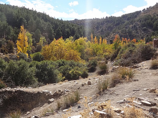 El Club Senderista de Totana visit la Sierra de Baza - 78