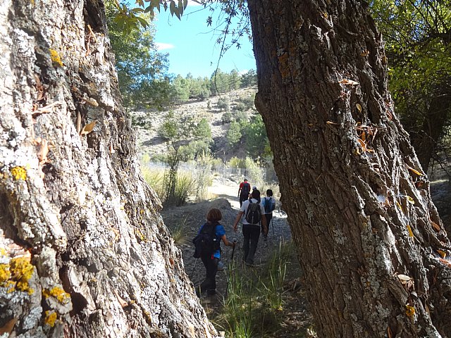 El Club Senderista de Totana visit la Sierra de Baza - 80