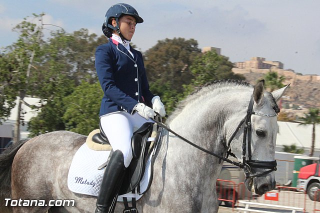 Feria Internacional del Caballo 2015 (Lorca) - 66