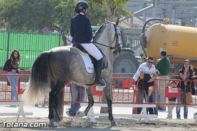 Feria Internacional del Caballo 2015 (Lorca) - 72