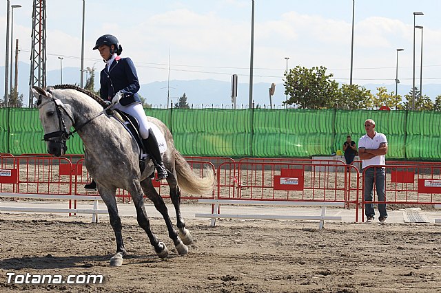 Feria Internacional del Caballo 2015 (Lorca) - 91