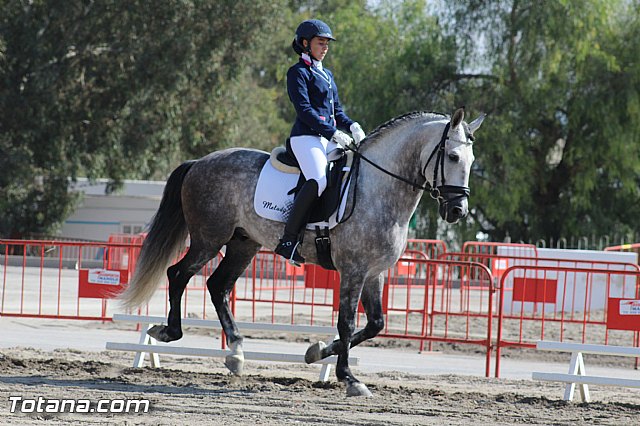 Feria Internacional del Caballo 2015 (Lorca) - 92