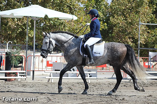 Feria Internacional del Caballo 2015 (Lorca) - 96