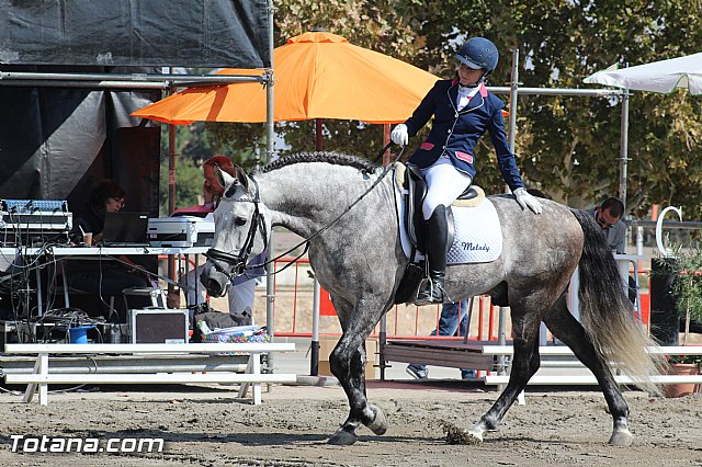 Feria Internacional del Caballo 2015 (Lorca) - 97