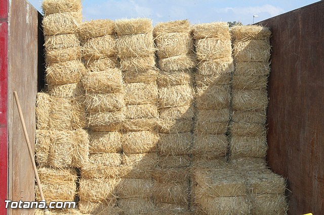 Feria Internacional del Caballo 2015 (Lorca) - 103