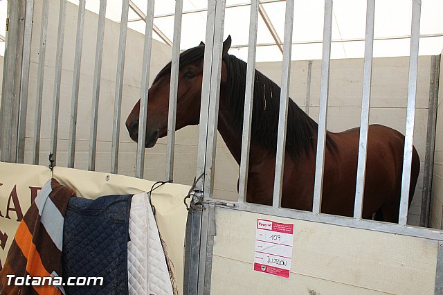 Feria Internacional del Caballo 2015 (Lorca) - 104