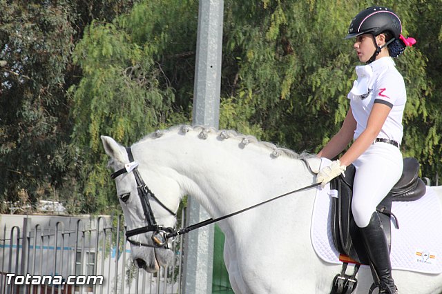 Feria Internacional del Caballo 2015 (Lorca) - 202