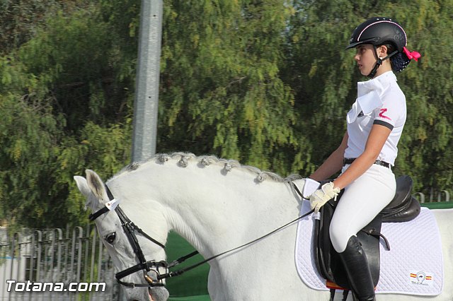 Feria Internacional del Caballo 2015 (Lorca) - 204