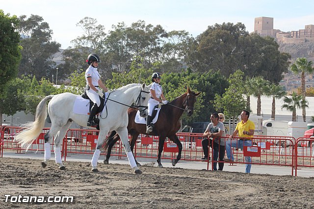 Feria Internacional del Caballo 2015 (Lorca) - 207