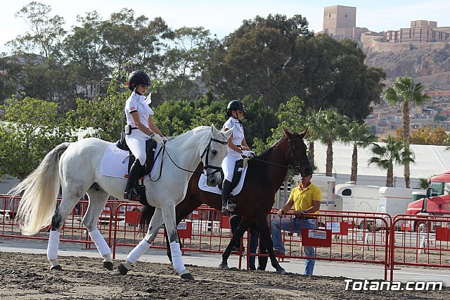 Feria Internacional del Caballo 2015 (Lorca) - 208