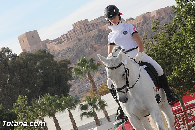 Feria Internacional del Caballo 2015 (Lorca) - 209