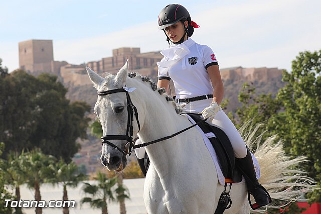 Feria Internacional del Caballo 2015 (Lorca) - 210