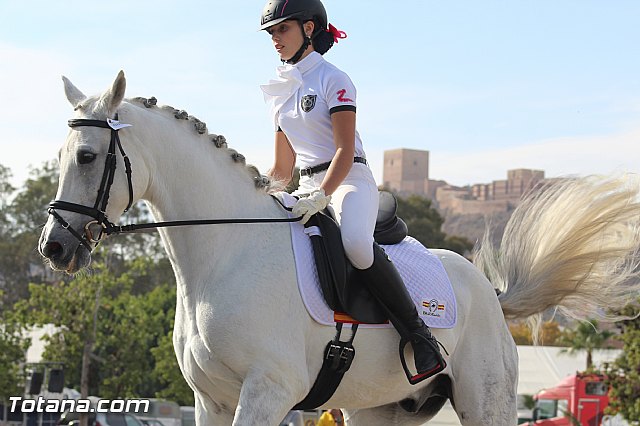 Feria Internacional del Caballo 2015 (Lorca) - 211