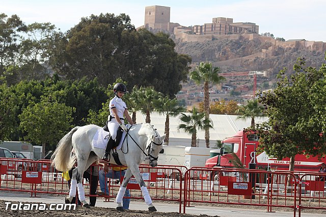 Feria Internacional del Caballo 2015 (Lorca) - 213