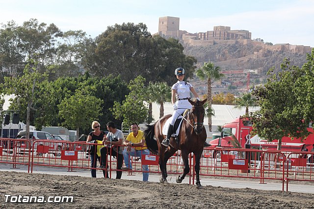 Feria Internacional del Caballo 2015 (Lorca) - 214