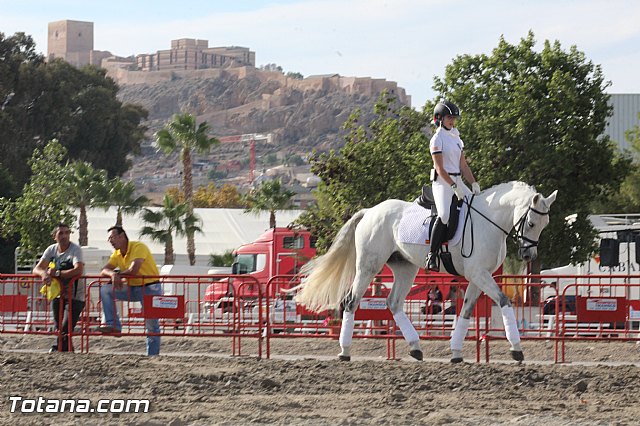 Feria Internacional del Caballo 2015 (Lorca) - 219