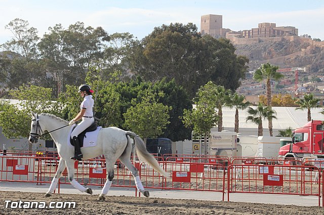 Feria Internacional del Caballo 2015 (Lorca) - 221