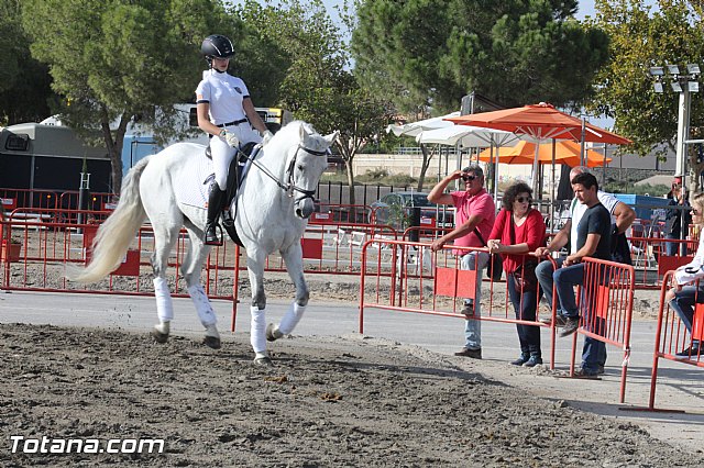 Feria Internacional del Caballo 2015 (Lorca) - 229