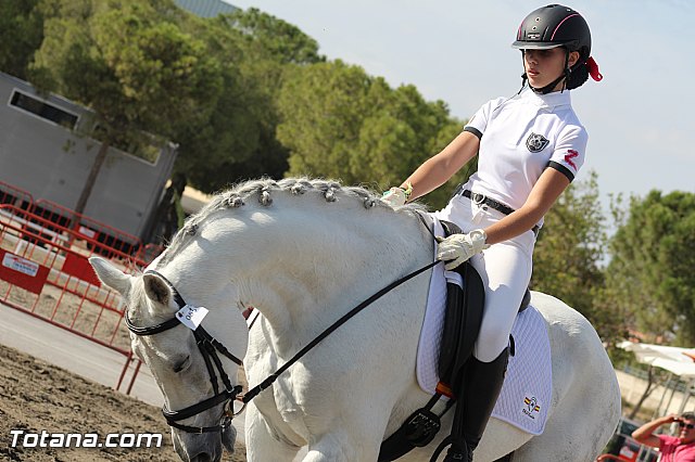 Feria Internacional del Caballo 2015 (Lorca) - 231