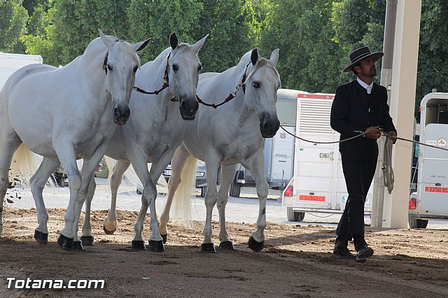 Feria Internacional del Caballo 2015 (Lorca) - 233