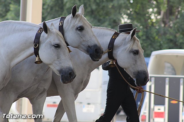 Feria Internacional del Caballo 2015 (Lorca) - 234