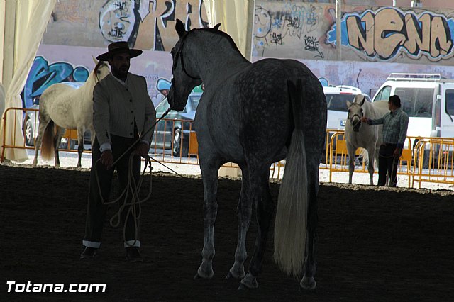 Feria Internacional del Caballo 2015 (Lorca) - 235