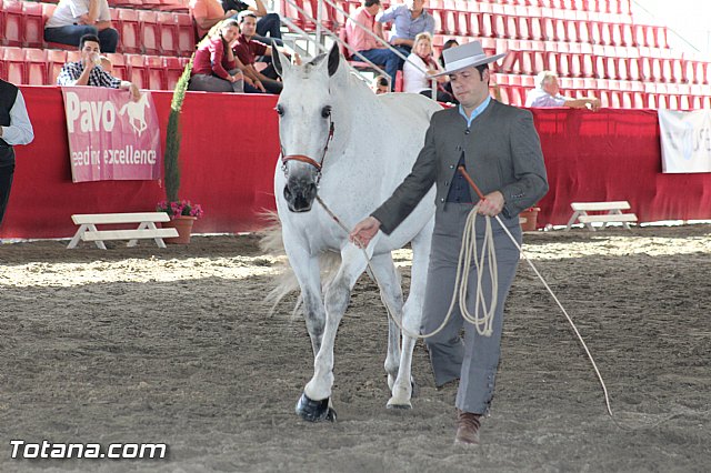 Feria Internacional del Caballo 2015 (Lorca) - 236