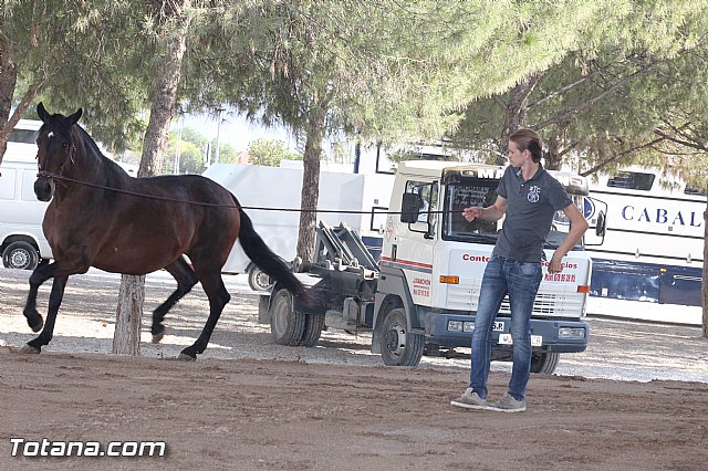 Feria Internacional del Caballo 2015 (Lorca) - 240