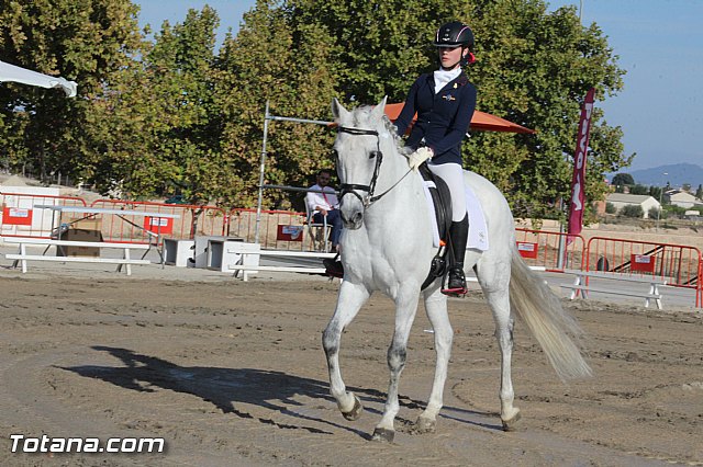 Feria Internacional del Caballo 2015 (Lorca) - 247