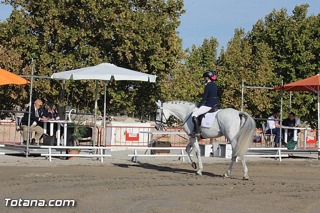 Feria Internacional del Caballo 2015 (Lorca) - 251