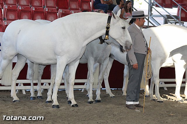 Feria Internacional del Caballo 2015 (Lorca) - 264