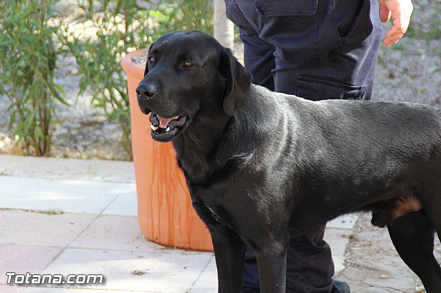 Presentacin de la nueva Unidad Canina de Proteccin Civil - 19