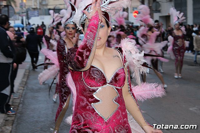 Desfile de Carnaval - Peas totaneras y forneas 2017 - 426