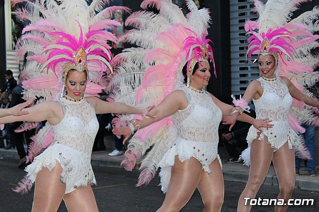 Desfile de Carnaval - Peas totaneras y forneas 2017 - 446