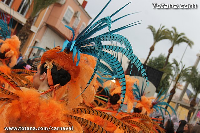 Desfile de Carnaval Totana 2014 - 41