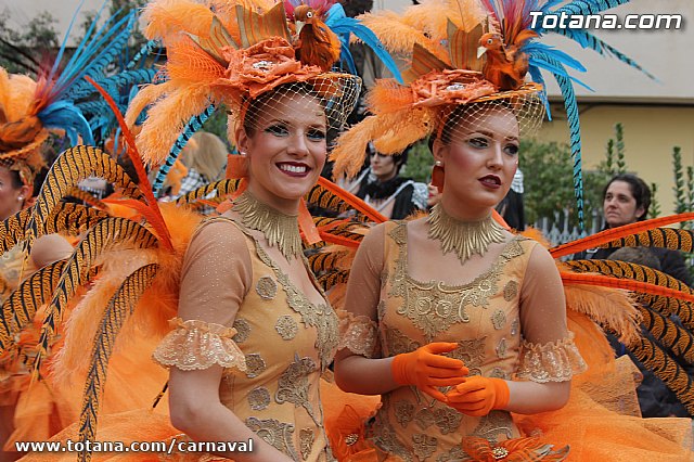 Desfile de Carnaval Totana 2014 - 53