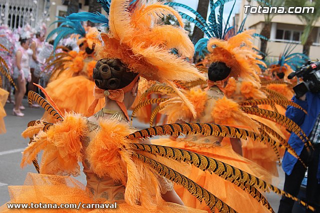 Desfile de Carnaval Totana 2014 - 69