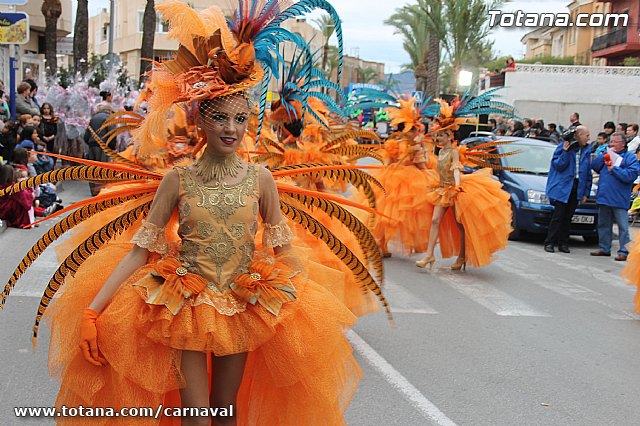 Desfile de Carnaval Totana 2014 - 72