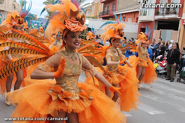Desfile de Carnaval Totana 2014 - 73