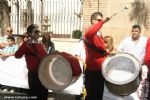 procesion de las palmas