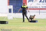 Guias Caninos