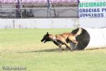 Guias Caninos