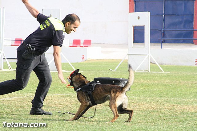 Exhibicin Guas Caninos Detectores de Drogas - 117