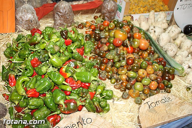 Festival gastronmico de vehculos de comida Food Trucks