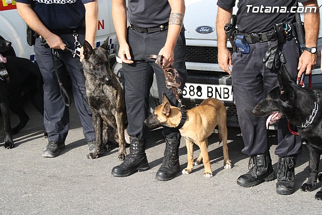 I Encuentro Interpolicial de Guas Caninos de la Regin de Murcia - 20